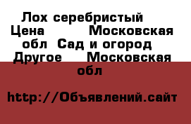 Лох серебристый ) › Цена ­ 220 - Московская обл. Сад и огород » Другое   . Московская обл.